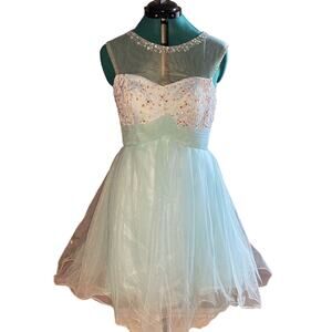 Beautiful Dress Shear Neck Embroidered/Beaded Top Tulle Waist and skirt